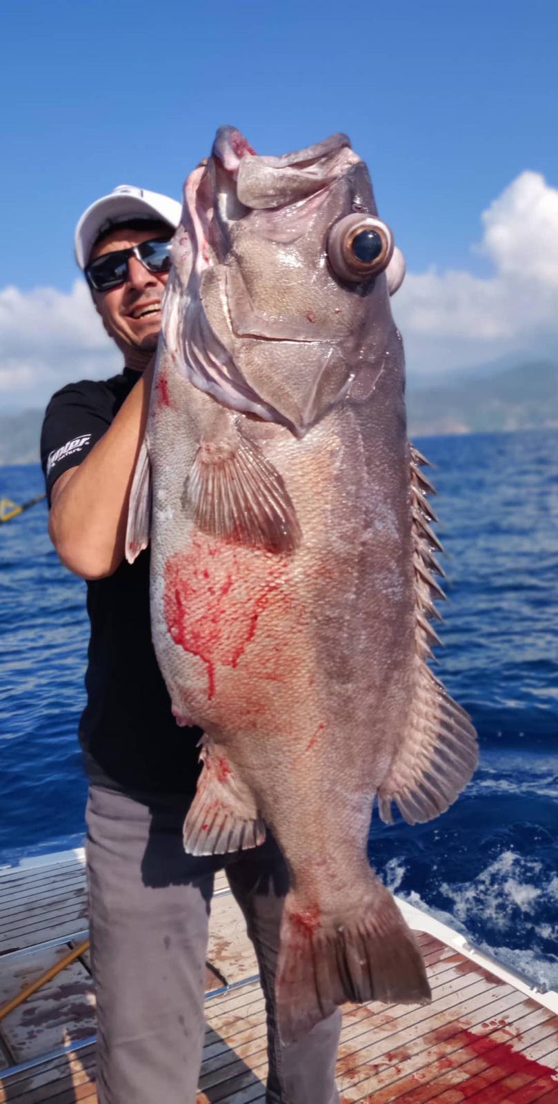 Profesyonel balık turu teknesi ve ekipmanları